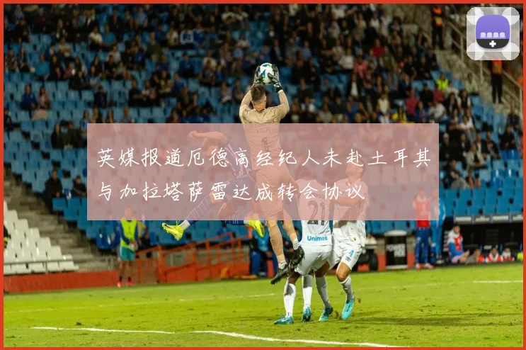 英媒报道厄德高经纪人未赴土耳其与加拉塔萨雷达成转会协议