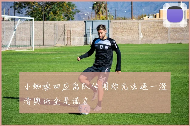 小蜘蛛回应离队传闻称无法逐一澄清舆论全是谎言