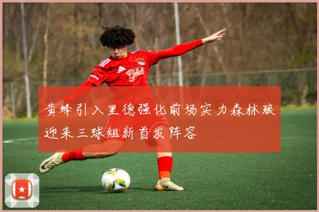 黄蜂引入里德强化前场实力森林狼迎来三球组新首发阵容