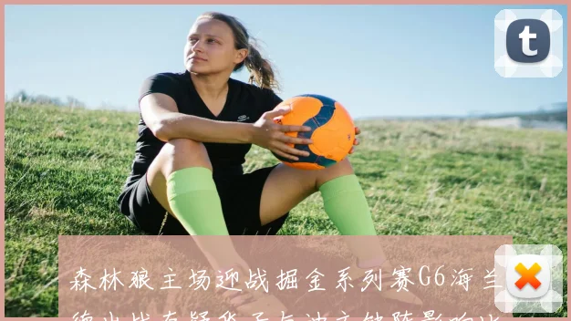 森林狼主场迎战掘金系列赛G6海兰德出战存疑华子与迪文缺阵影响比赛走势